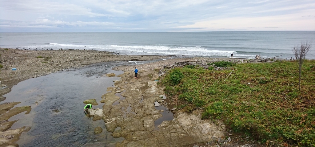 f:id:fishtail2017:20190211201142j:plain