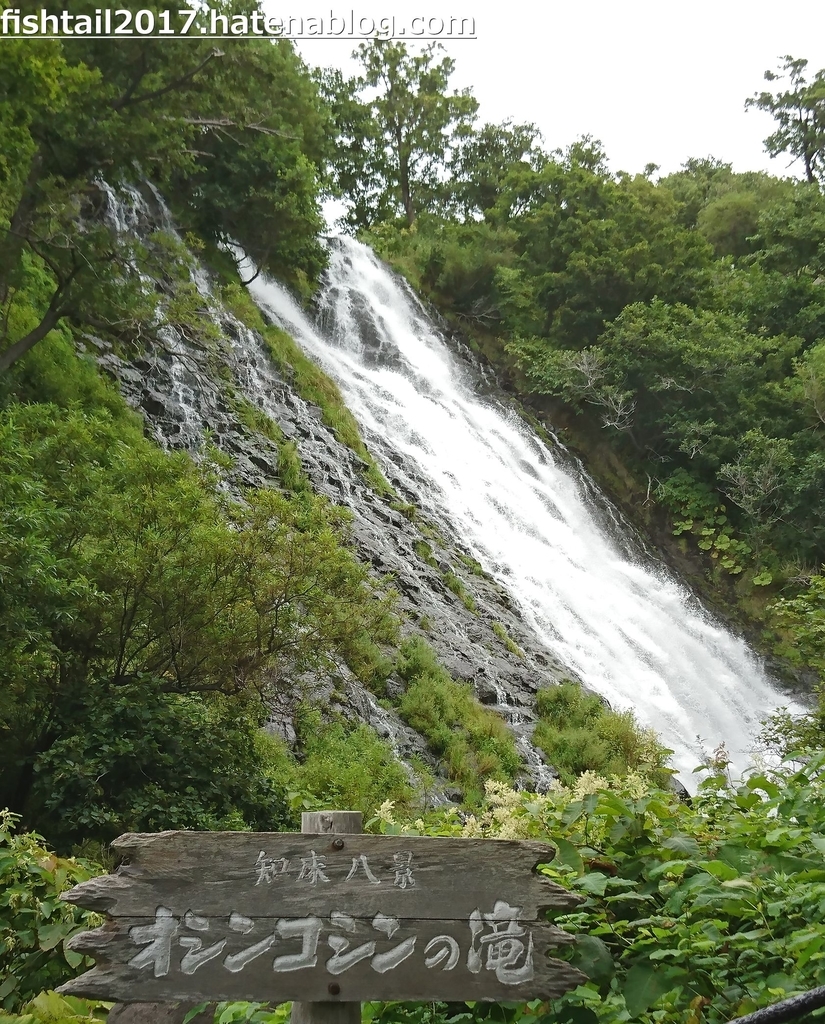 f:id:fishtail2017:20190211201252j:plain