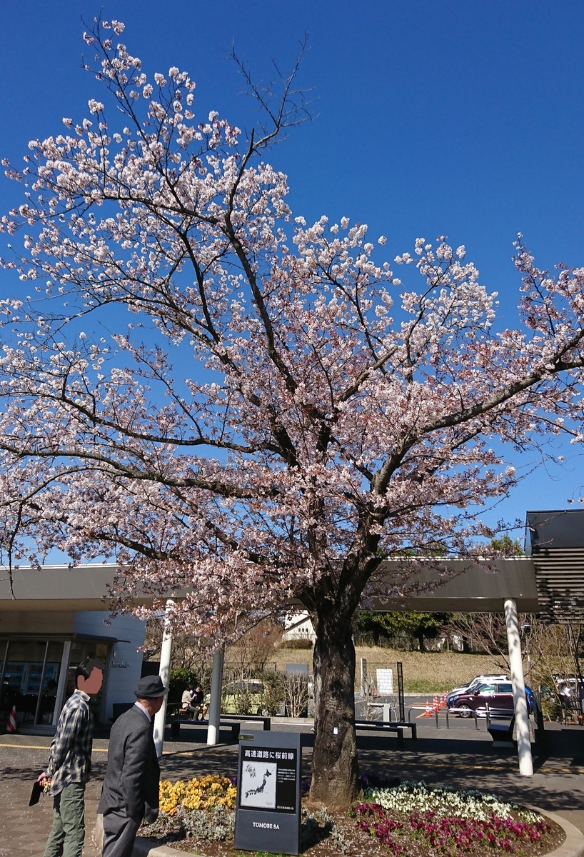 f:id:fishtail2017:20190414183953j:plain