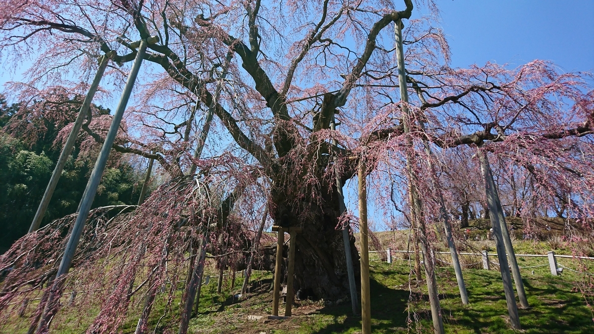 f:id:fishtail2017:20190414184136j:plain