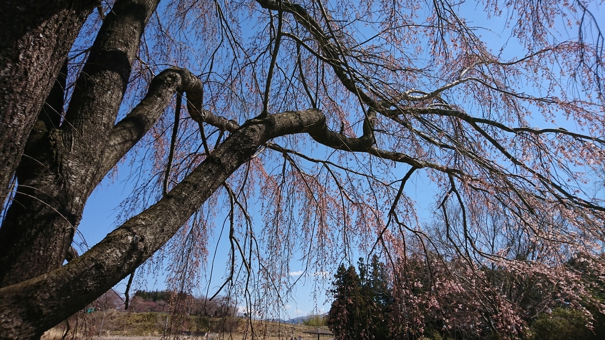 f:id:fishtail2017:20190414191159j:plain