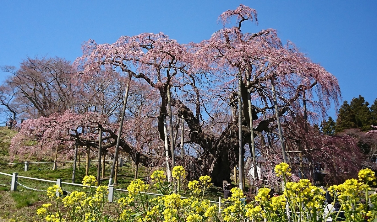 f:id:fishtail2017:20190414191802j:plain