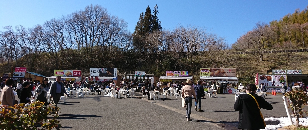 f:id:fishtail2017:20190414192019j:plain