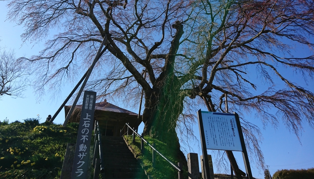 f:id:fishtail2017:20190414192101j:plain