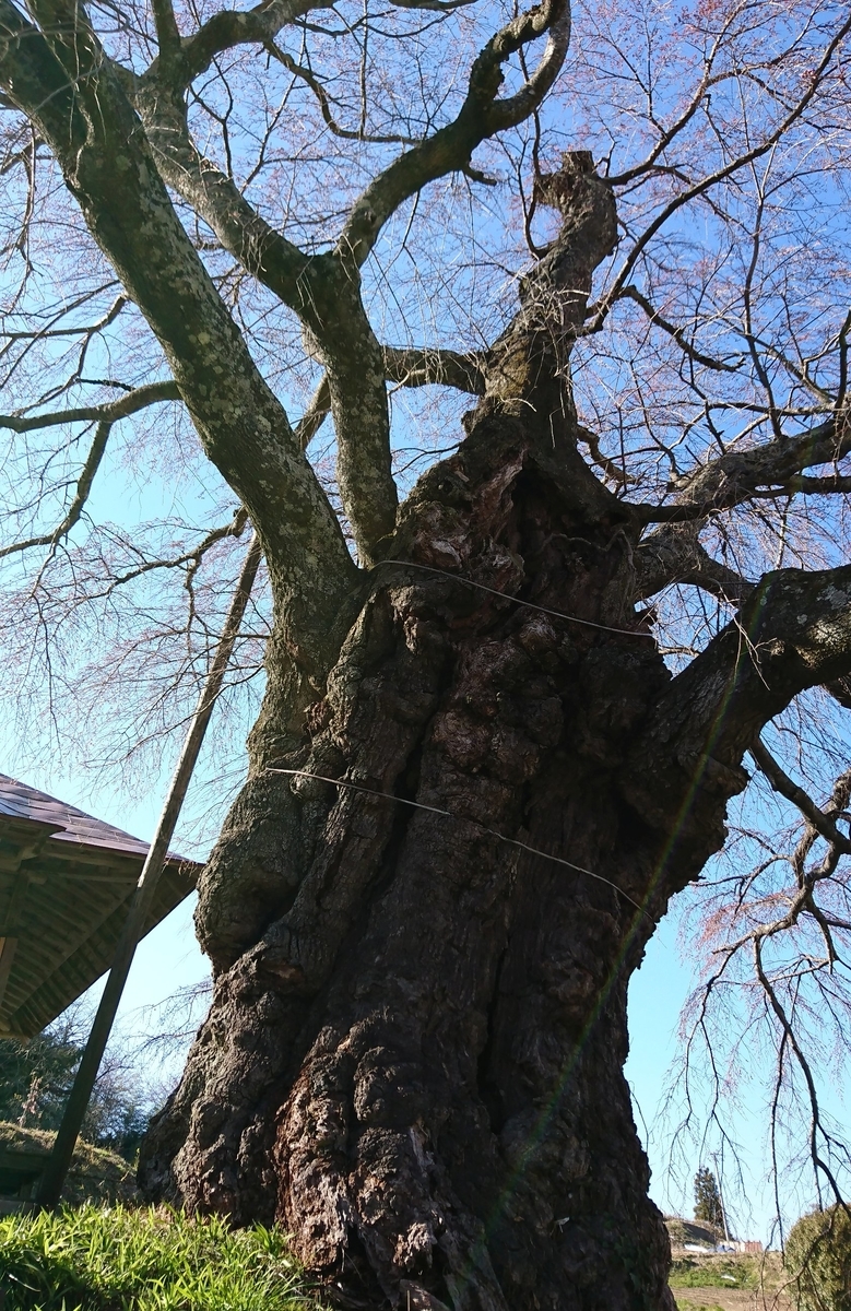 f:id:fishtail2017:20190414192348j:plain