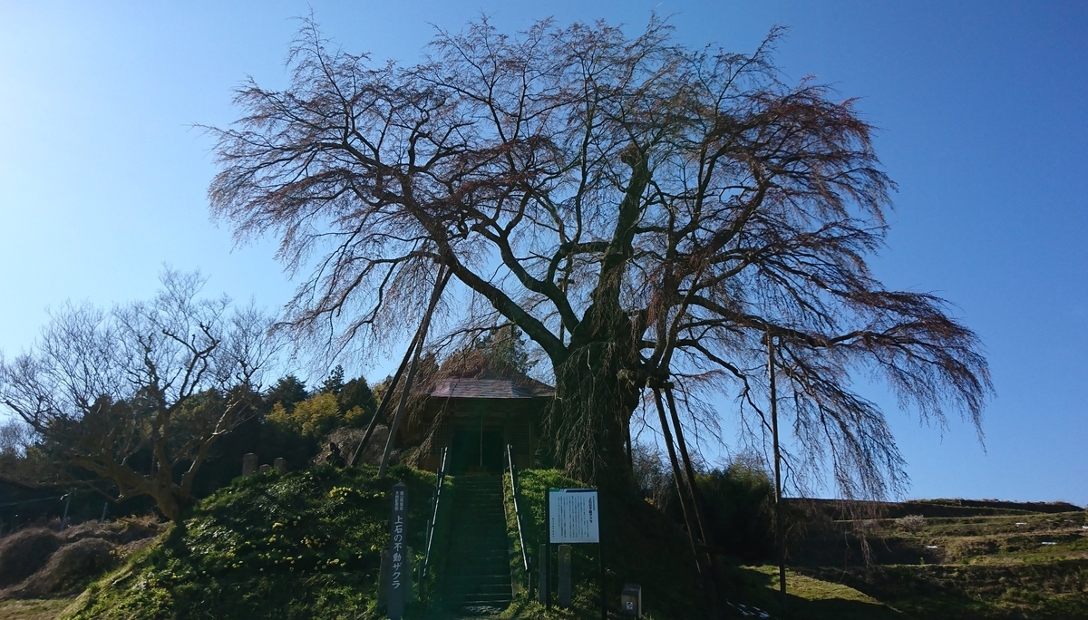 f:id:fishtail2017:20190414192412j:plain