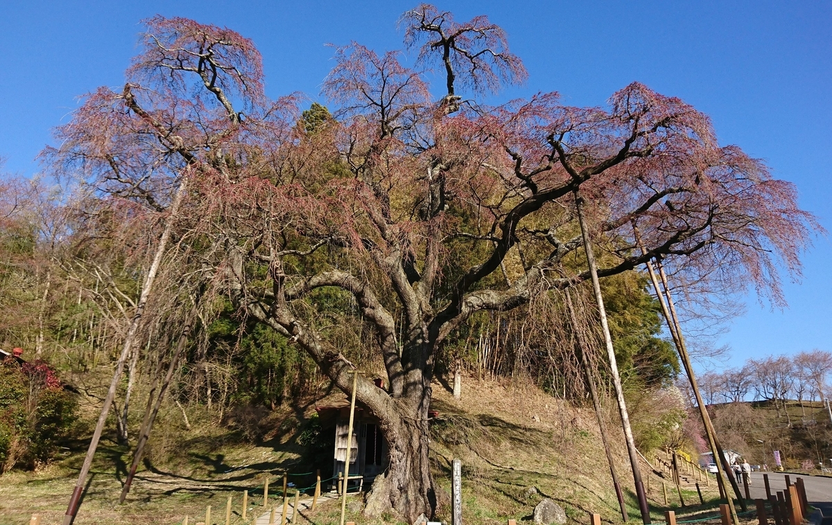 f:id:fishtail2017:20190414192540j:plain