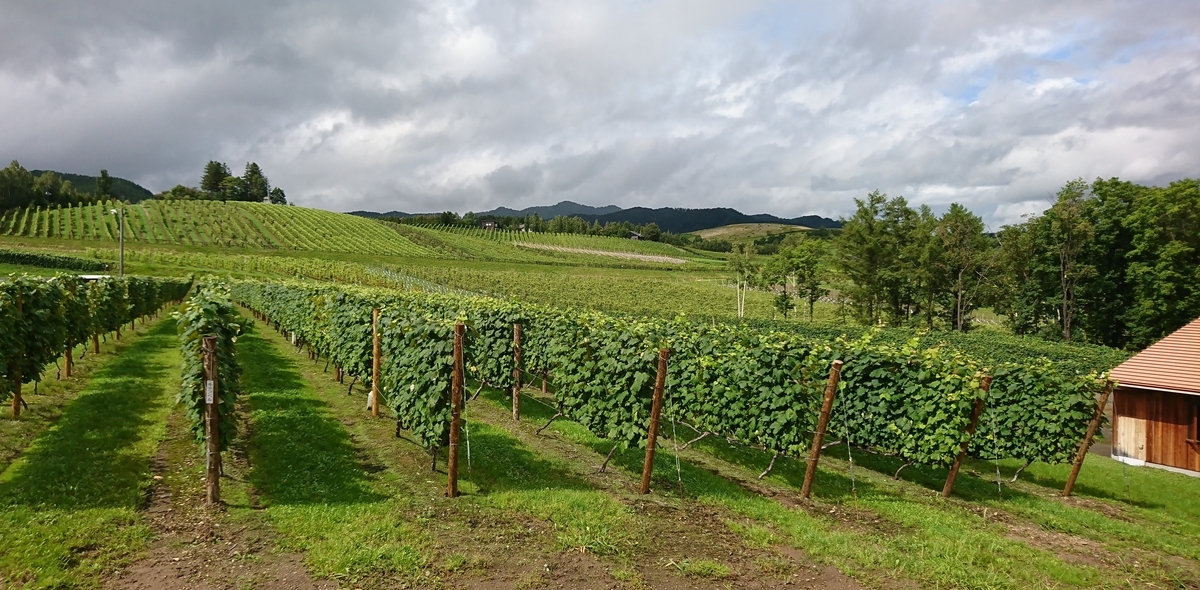 f:id:fishtail2017:20190421001930j:plain