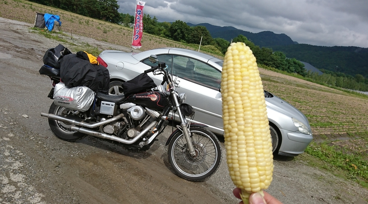 f:id:fishtail2017:20190421002013j:plain