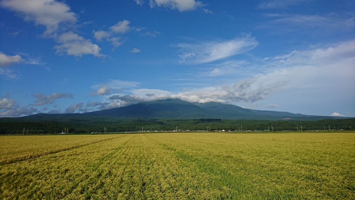 f:id:fishtail2017:20190928010239j:plain