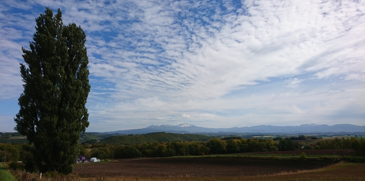 f:id:fishtail2017:20191020222333j:plain