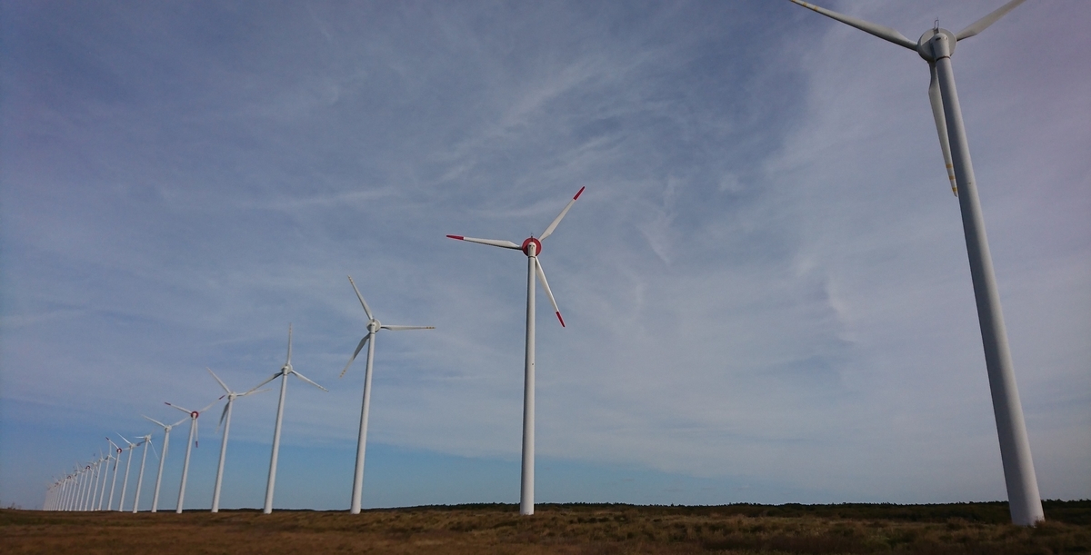 f:id:fishtail2017:20191020222701j:plain