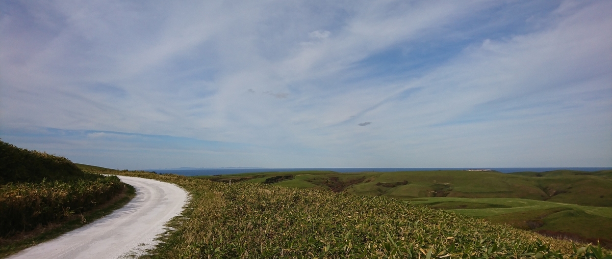 f:id:fishtail2017:20191020222825j:plain