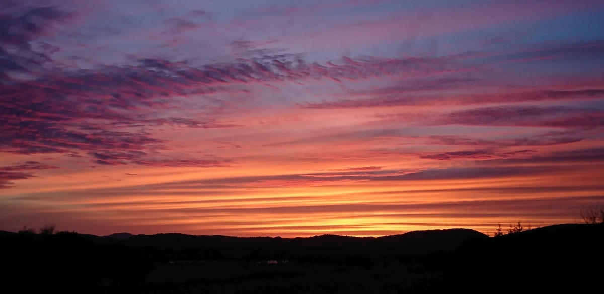 f:id:fishtail2017:20191020222949j:plain