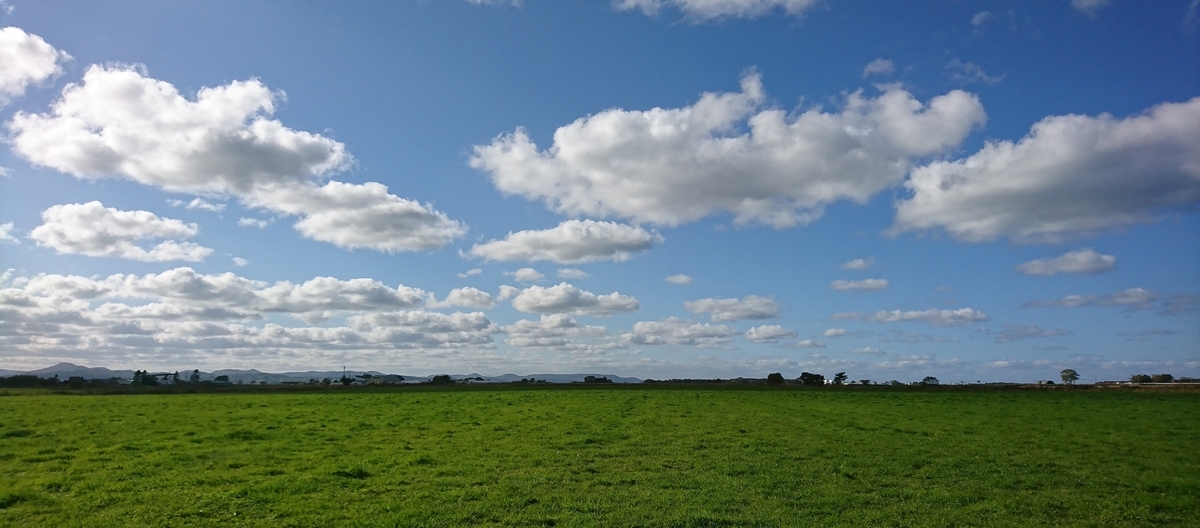 f:id:fishtail2017:20191020223225j:plain