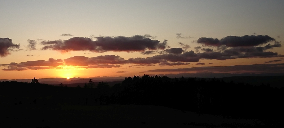 f:id:fishtail2017:20191020223644j:plain