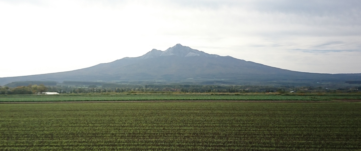 f:id:fishtail2017:20191020223716j:plain