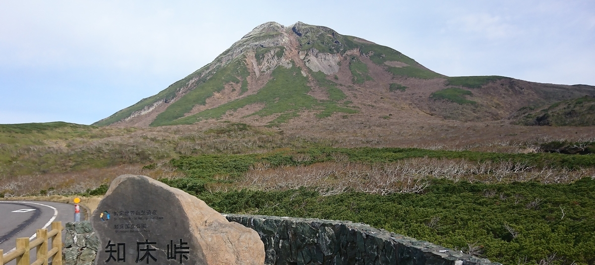 f:id:fishtail2017:20191020223848j:plain