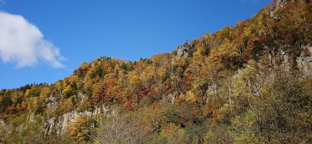 f:id:fishtail2017:20191020224528j:plain