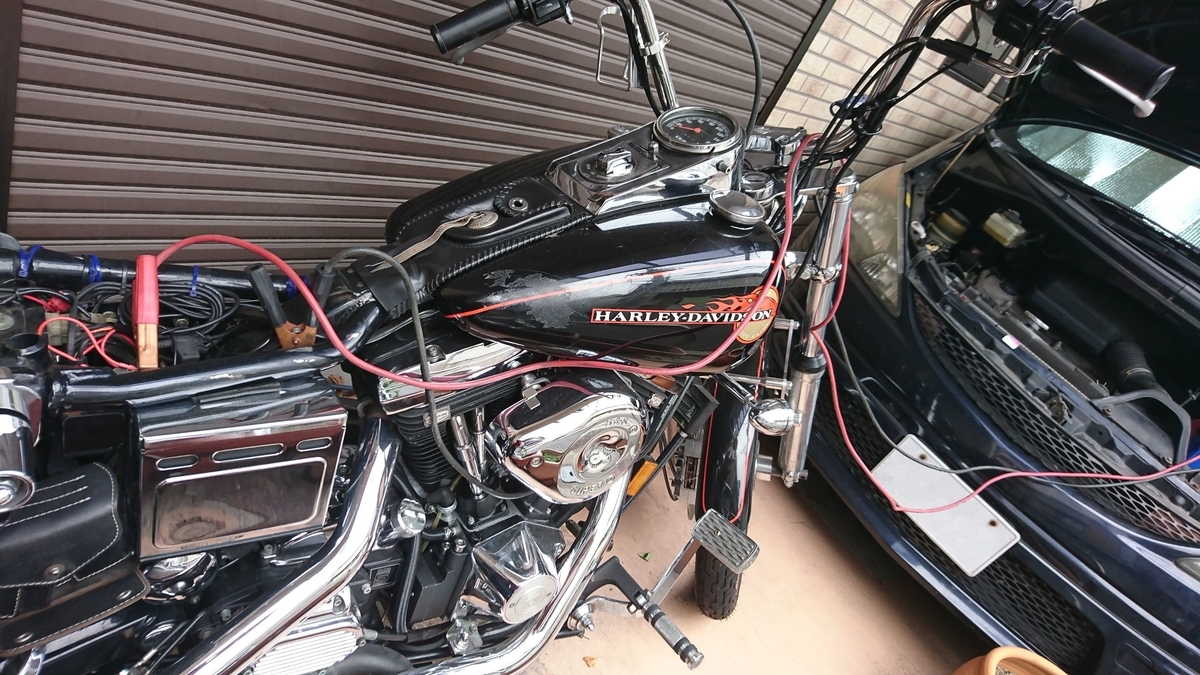 f:id:fishtail2017:20200404234005j:plain f:id:fishtail2017:20200404234005j:plain