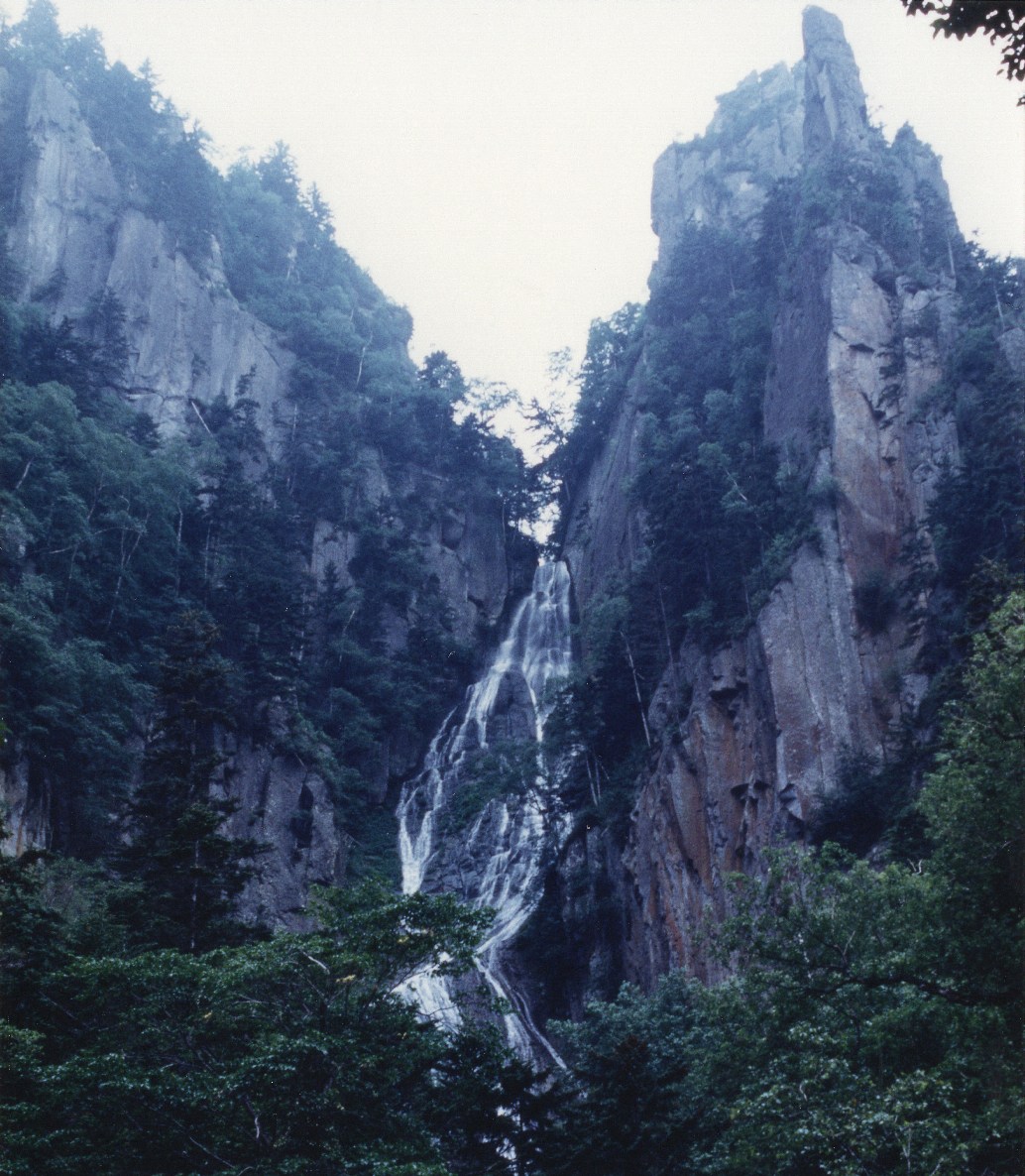 f:id:fishtail2017:20200517005237j:plain