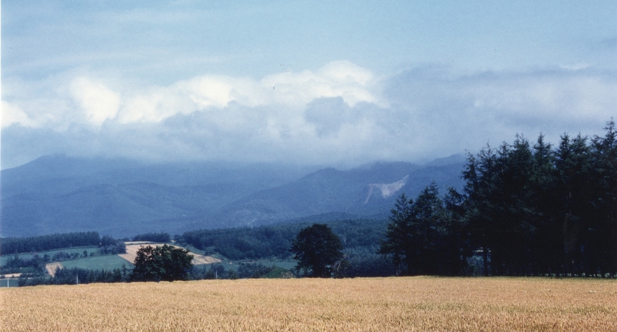 f:id:fishtail2017:20200524210106j:plain