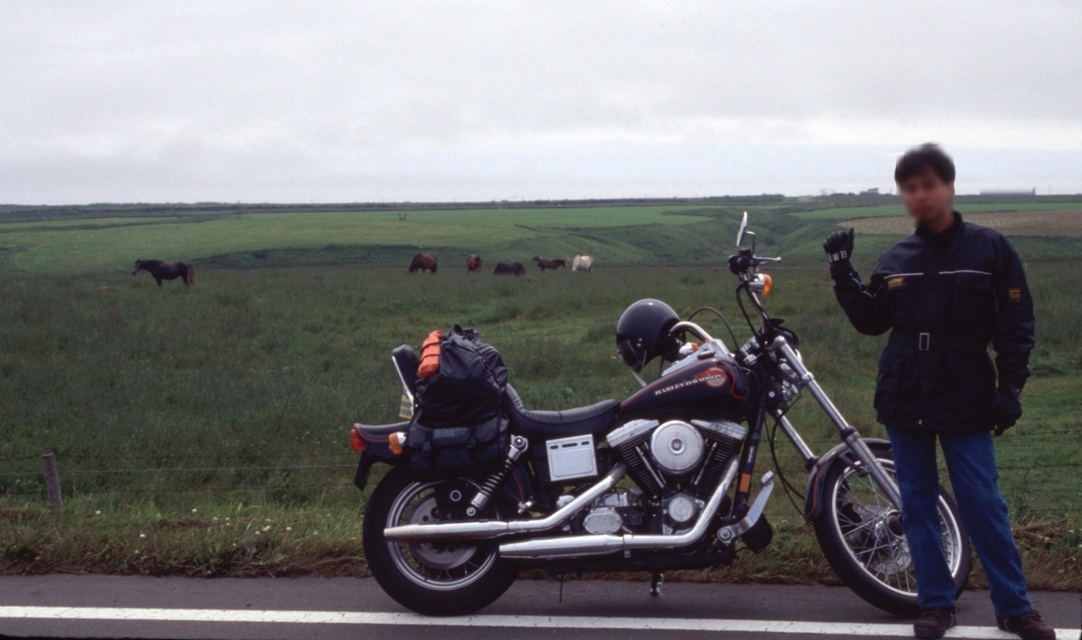 f:id:fishtail2017:20200622010745j:plain