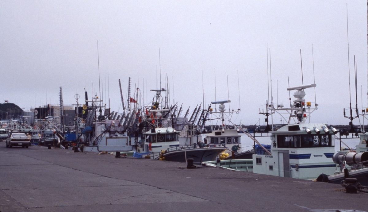 f:id:fishtail2017:20200622011226j:plain