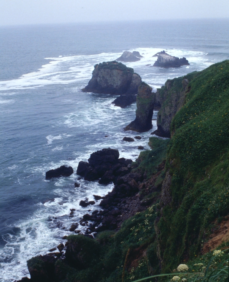 f:id:fishtail2017:20200622013003j:plain