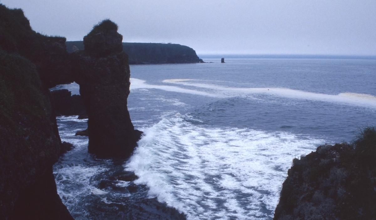 f:id:fishtail2017:20200622013139j:plain