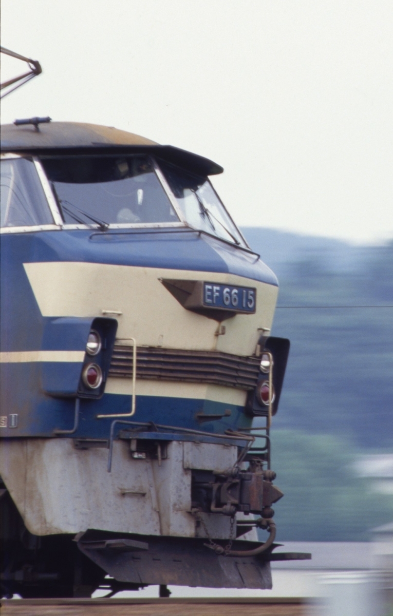 f:id:fishtail2017:20200808233041j:plain