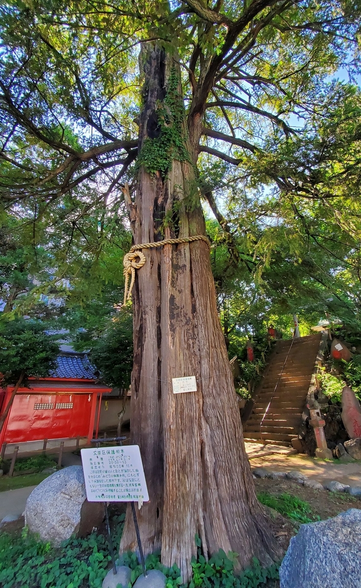 f:id:fishtail2017:20210718234724j:plain