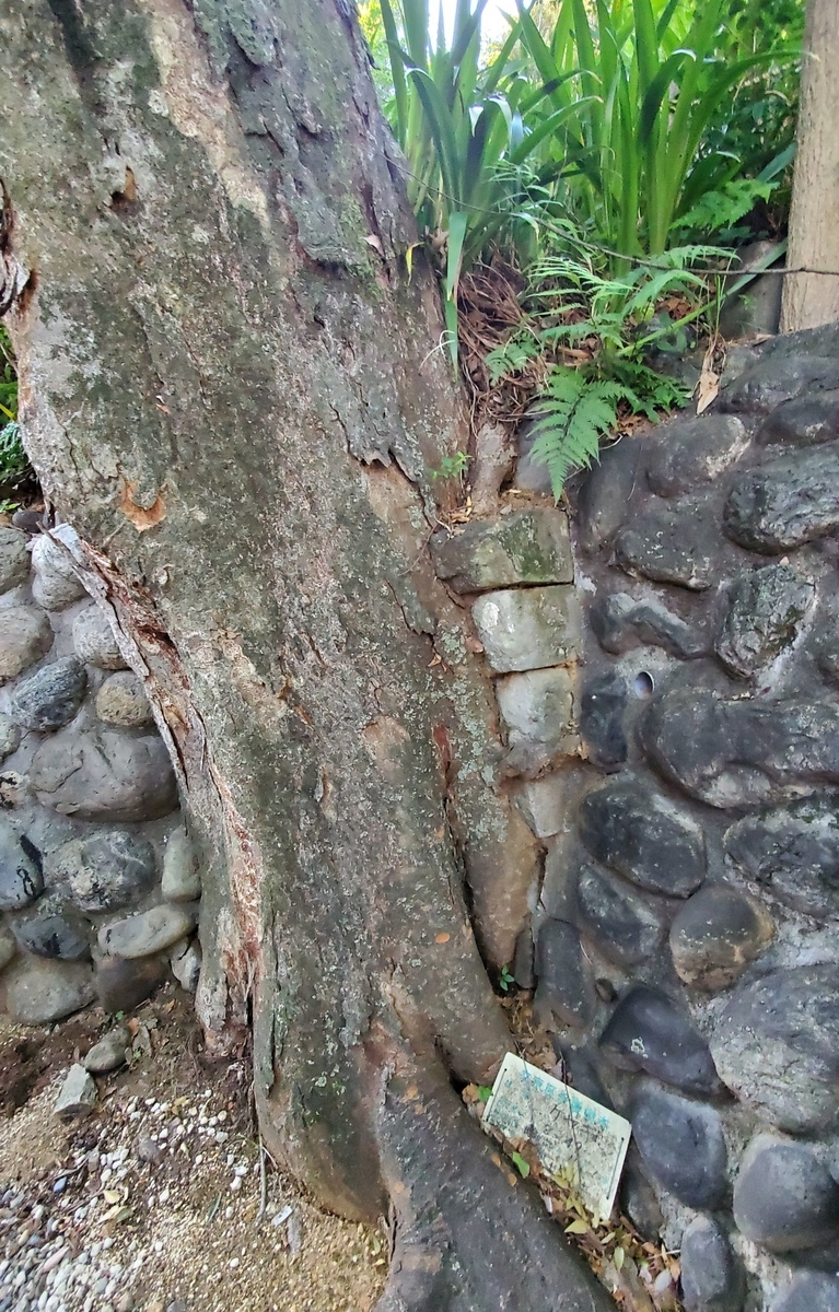 f:id:fishtail2017:20210718234911j:plain