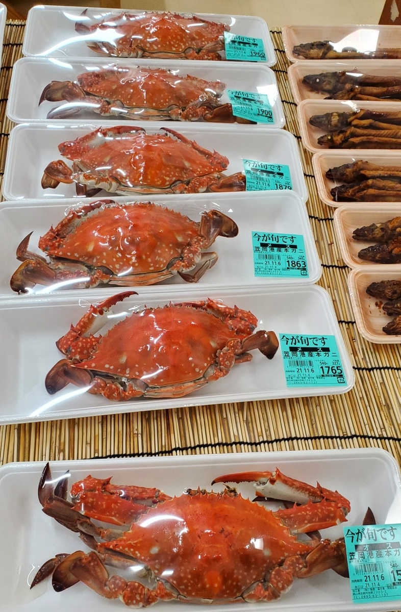 f:id:fishtail2017:20211124005923j:plain