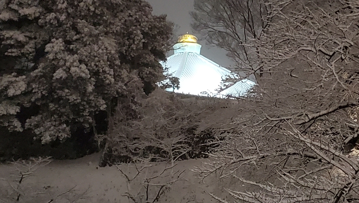 f:id:fishtail2017:20220111191556j:plain