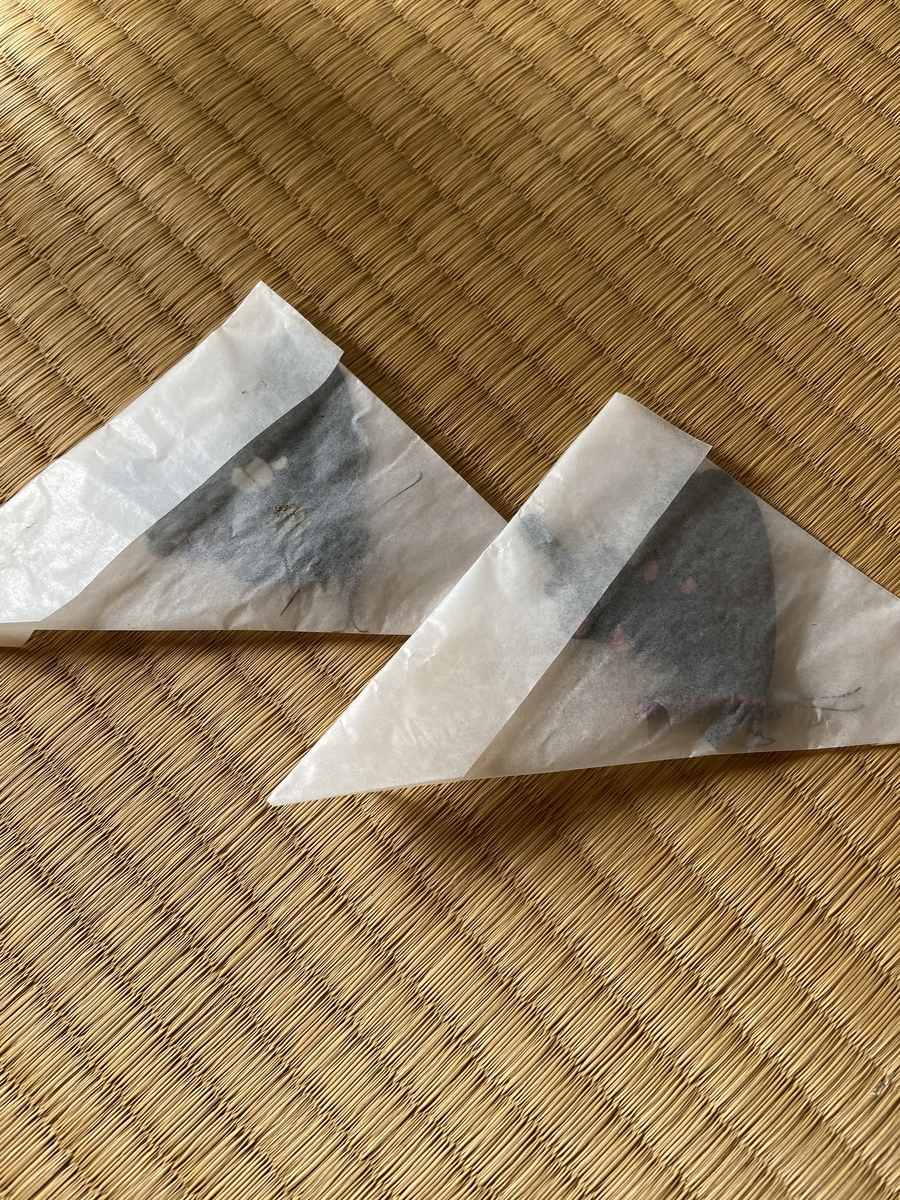f:id:fissidens_dorcus:20210405173522j:plain