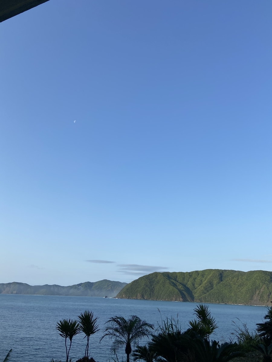 f:id:fissidens_dorcus:20210405174622j:plain