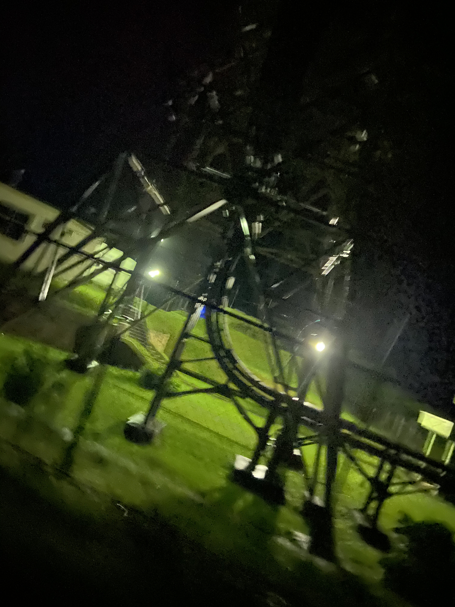 f:id:fissidens_dorcus:20210729142854j:plain