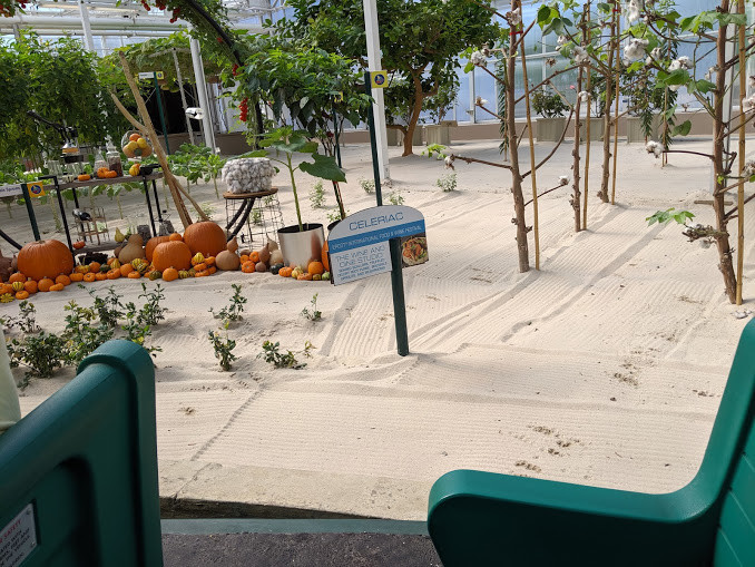 f:id:fivetimechamp:20191230111704j:plain f:id:fivetimechamp:20191230111704j:plain