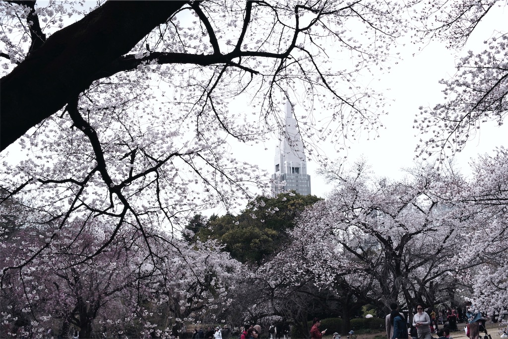 f:id:fiyalzha:20190403214703j:image