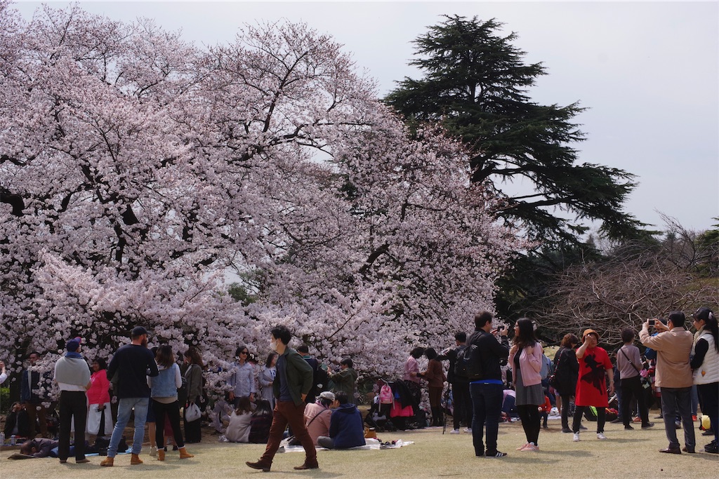 f:id:fiyalzha:20190403214707j:image