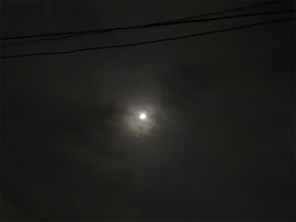 f:id:fiyalzha:20190419225546j:image