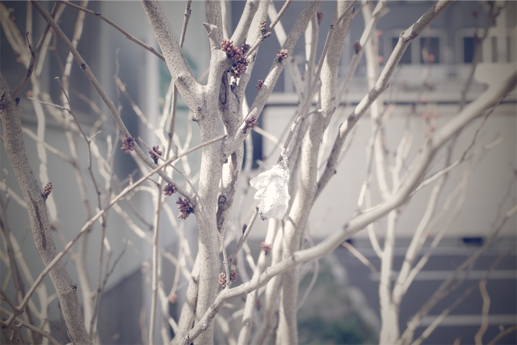 f:id:fiyalzha:20200312174253j:image