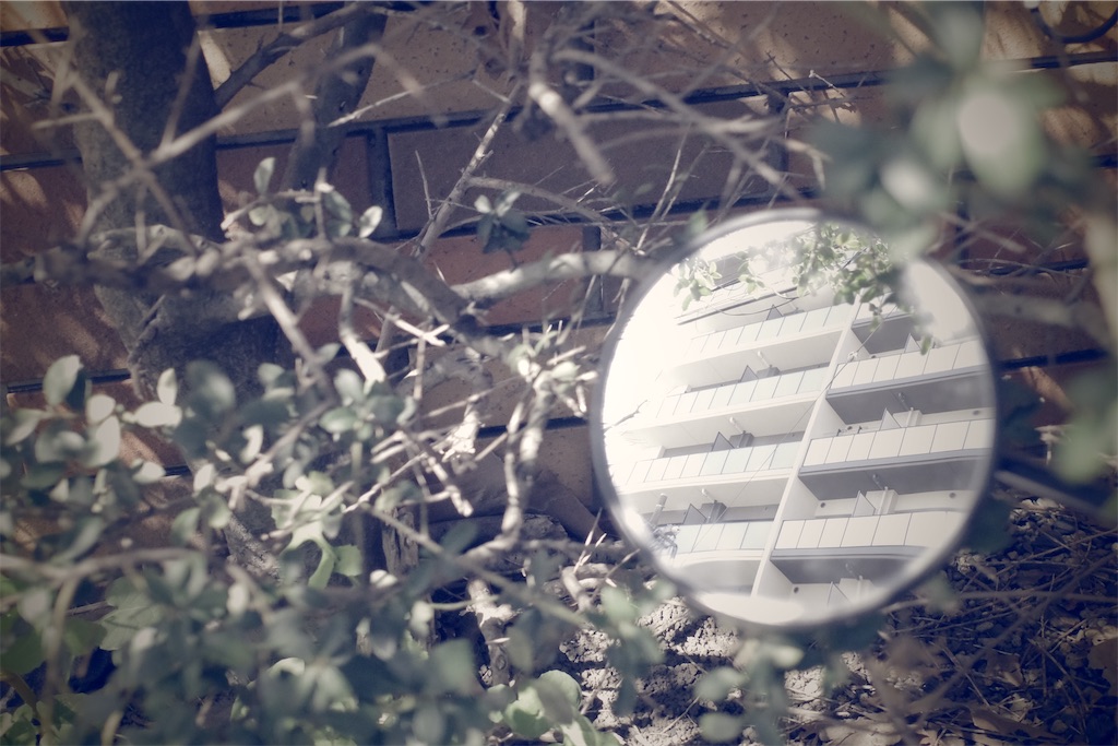 f:id:fiyalzha:20200312174300j:image