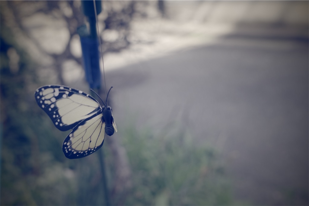 f:id:fiyalzha:20200312174309j:image