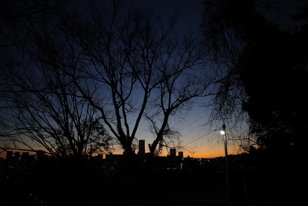 f:id:fiyalzha:20200312194527j:image