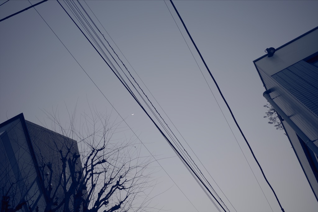 f:id:fiyalzha:20210403183424j:image