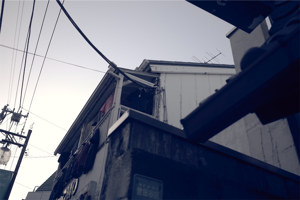 f:id:fiyalzha:20210403183803j:image