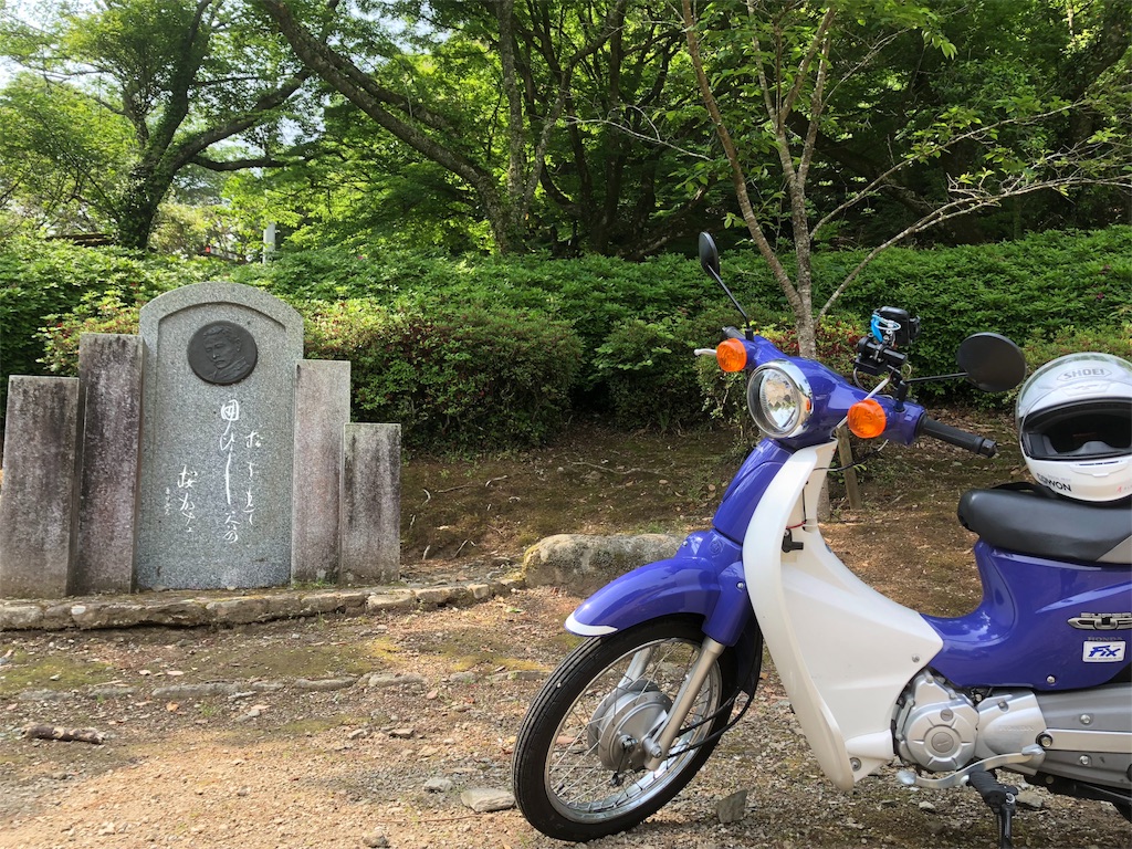 f:id:fizz0728:20180514124231j:image