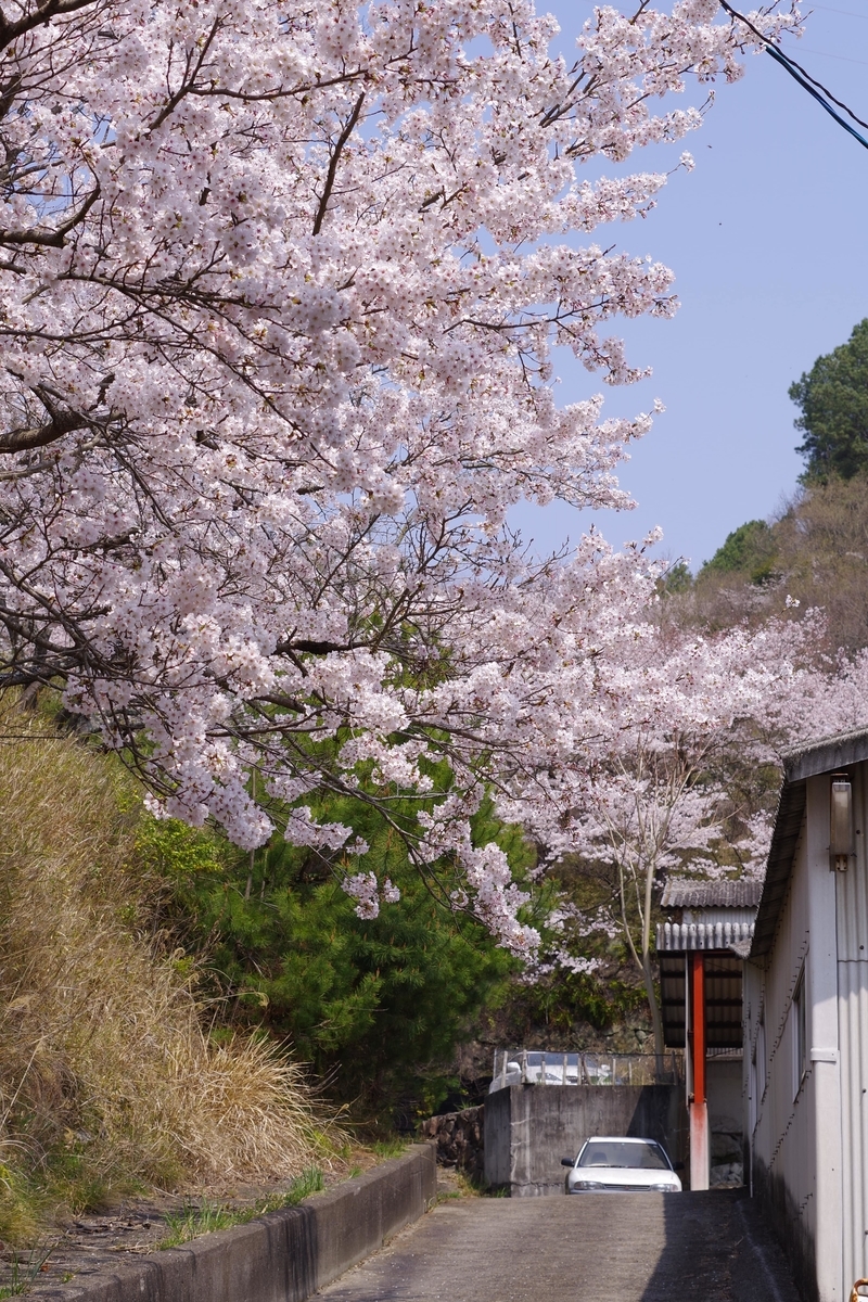 f:id:fizz0728:20190414114731j:plain